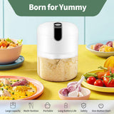 Garlic Chopper Mini Food Chopper