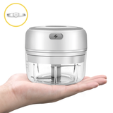 Portable And USB Rechargeable Mini Garlic Chopper